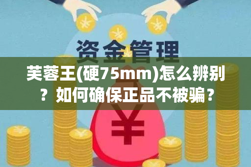 芙蓉王(硬75mm)怎么辨别？如何确保正品不被骗？